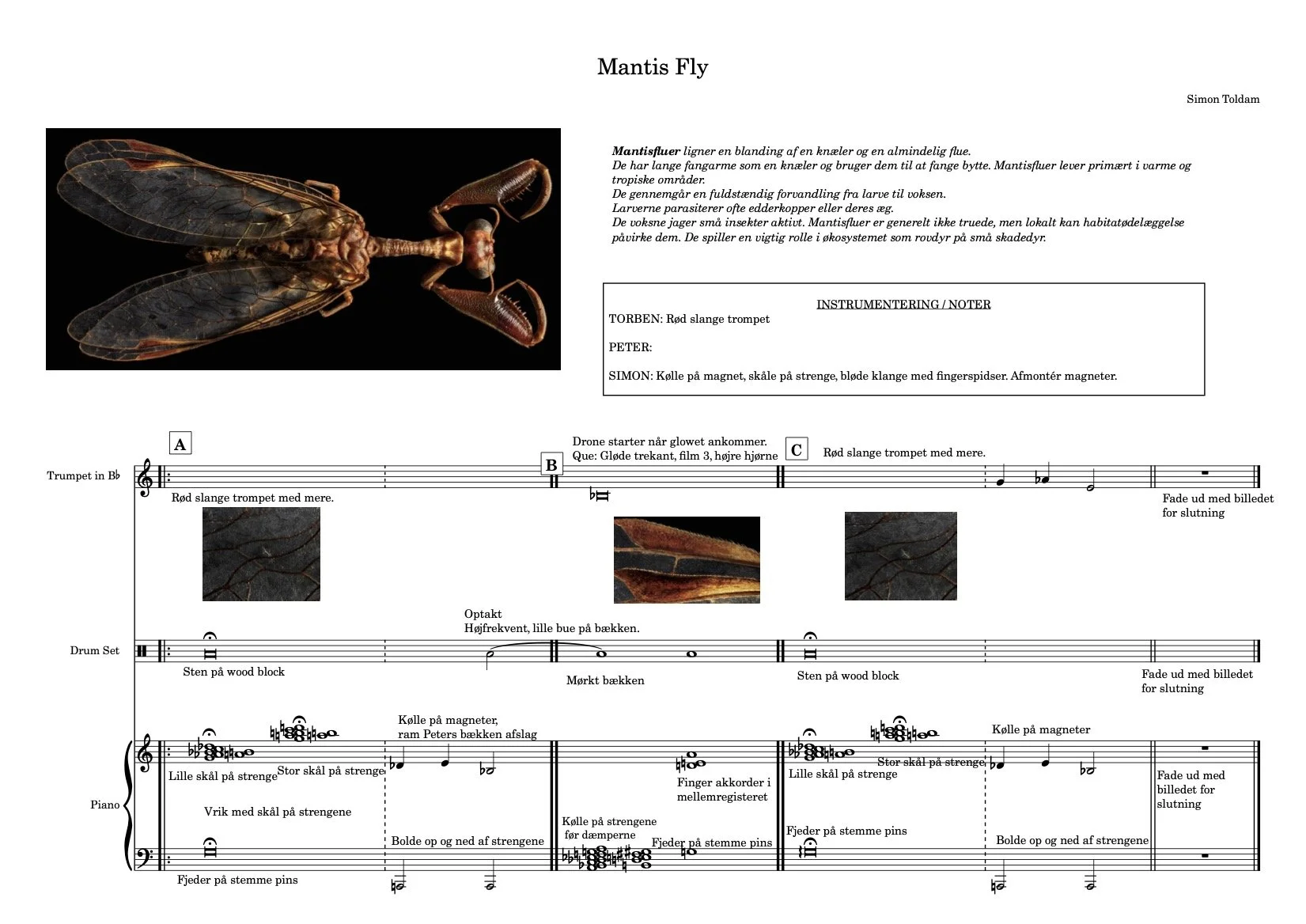 Mantis Fly-Full score.jpg
