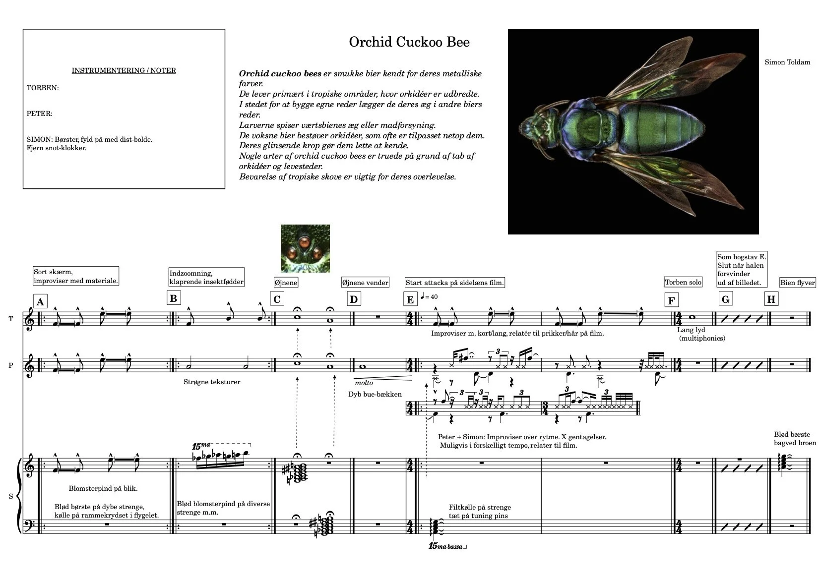 Orchid Cuckoo Bee-Full score.jpg