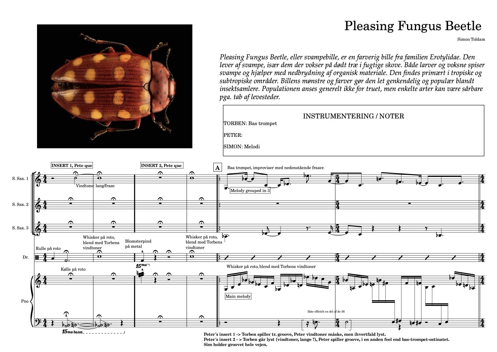 Pleasing Fungus Beetle-Full score.jpg