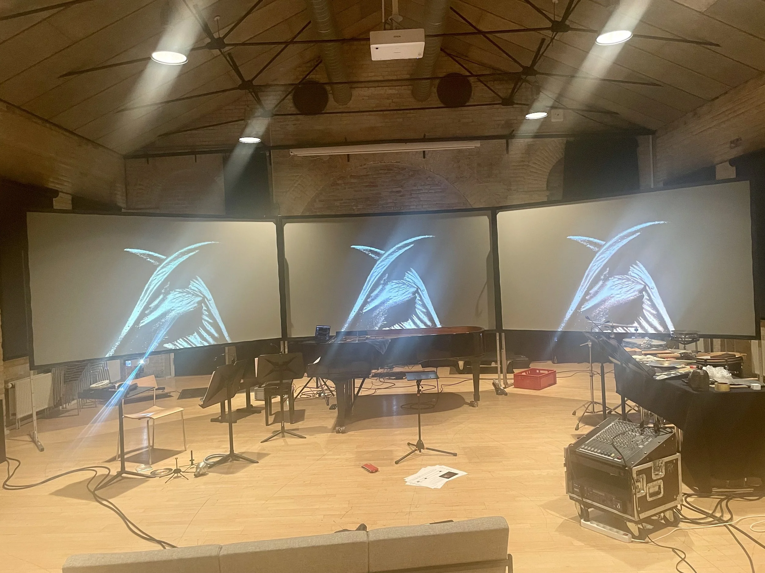 Screen set up for for small performances