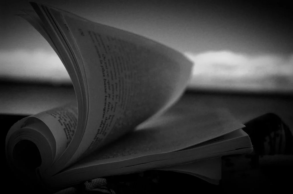 Lonely day in Beach Noir