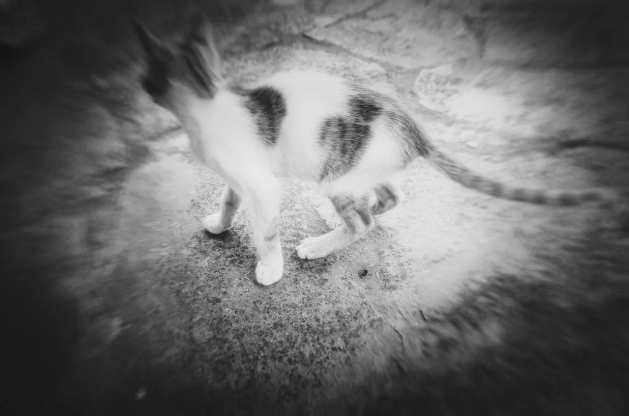 R0099102.jpeg