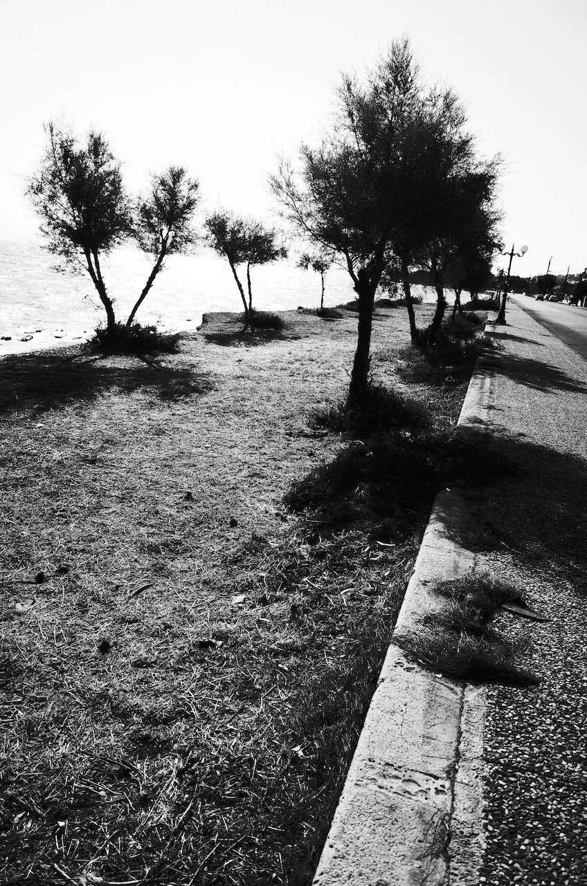 R0099425.jpeg