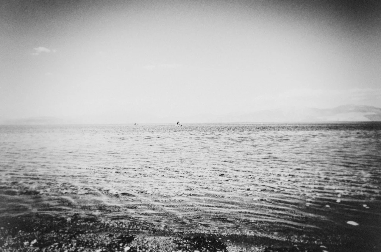 R0100506.jpeg