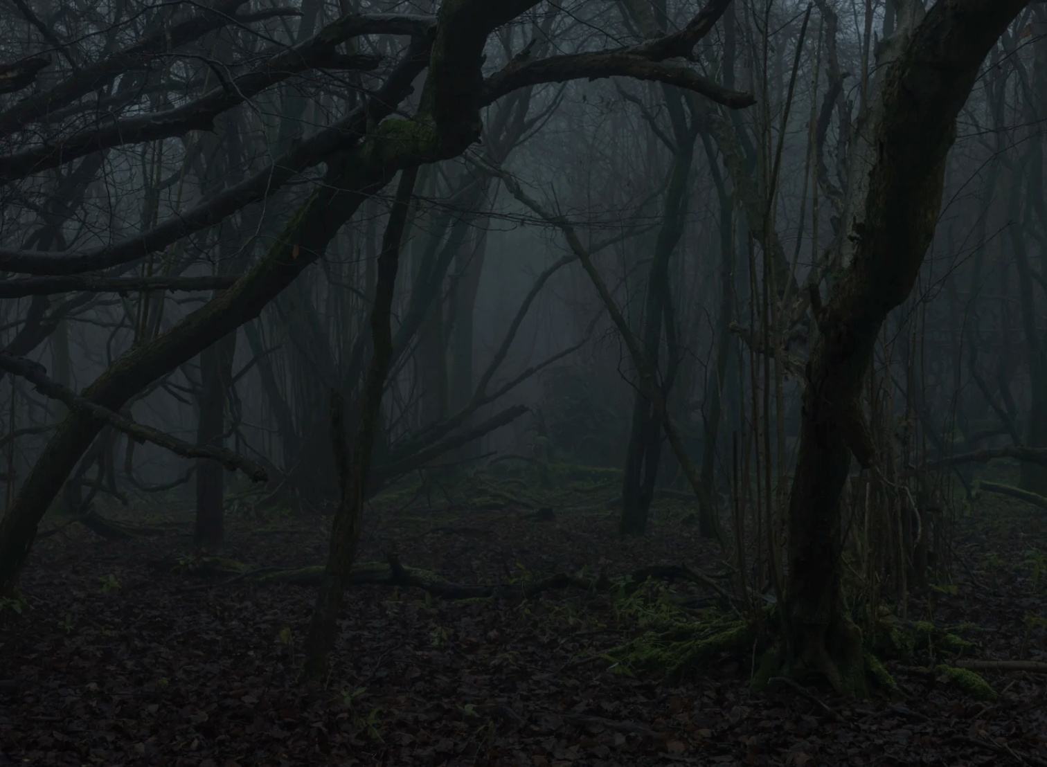 Screenshot 2025-12-17 at 00.40.40.png