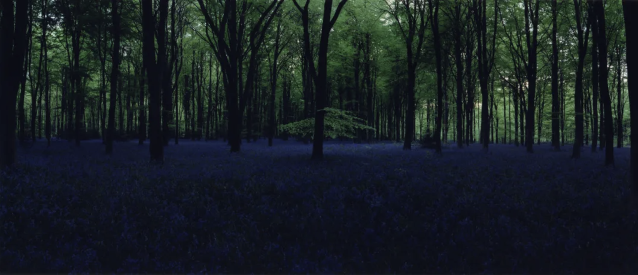 Screenshot 2025-12-17 at 00.35.51.png