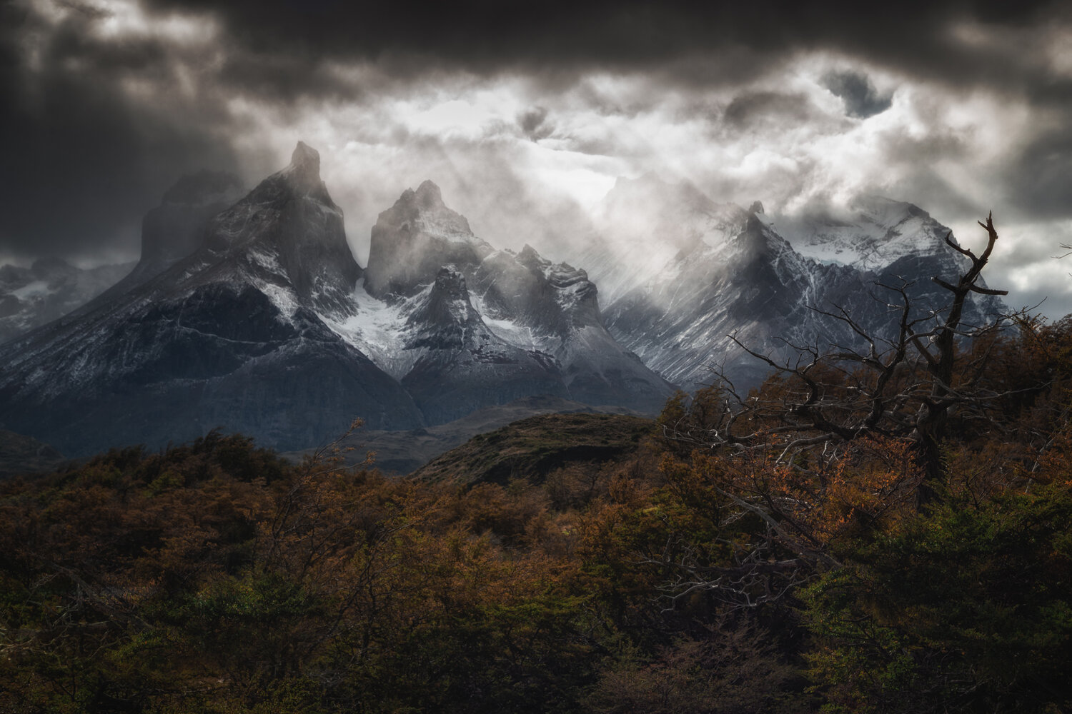 Carretera Austral, Torres del Paine e Patagônia Chilena - Onde, Quando e Como Explorar? episode artwork