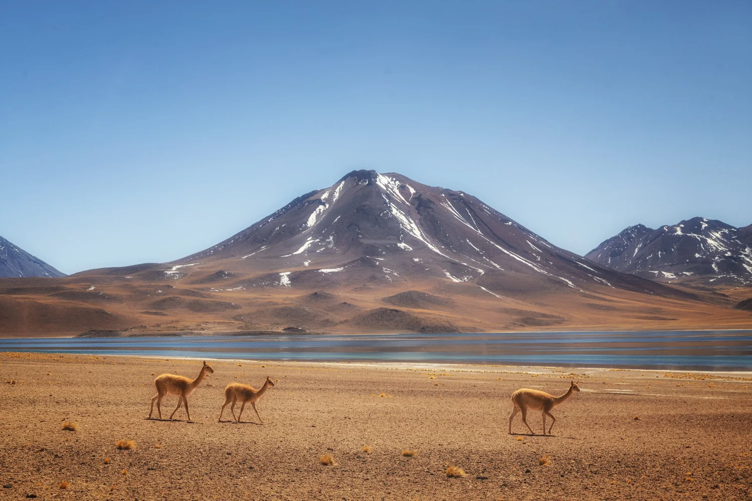 Deserto do Atacama – Fotografias, Paisagens e um Relato de Viagem episode artwork