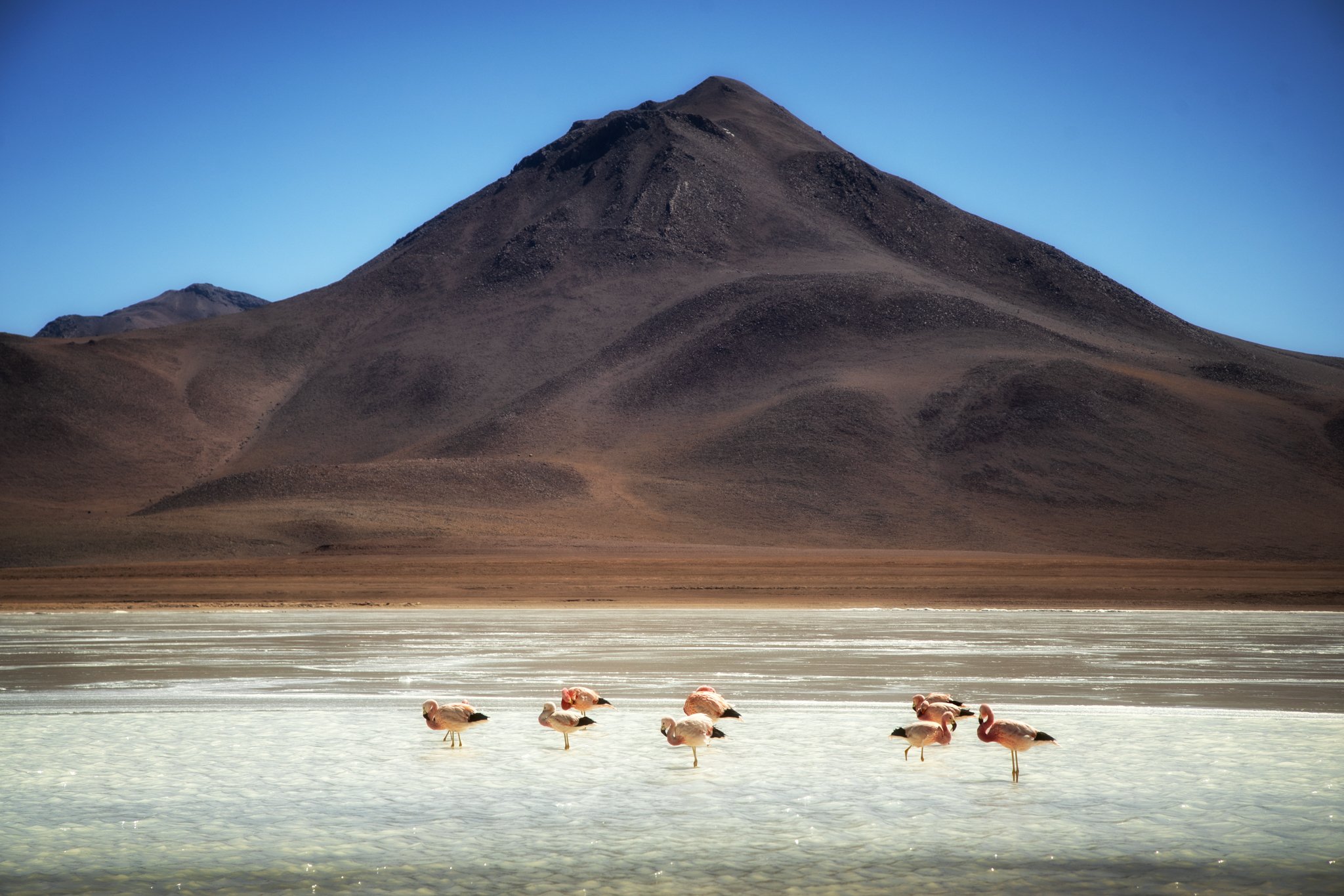 Laguna Verde 1.jpg