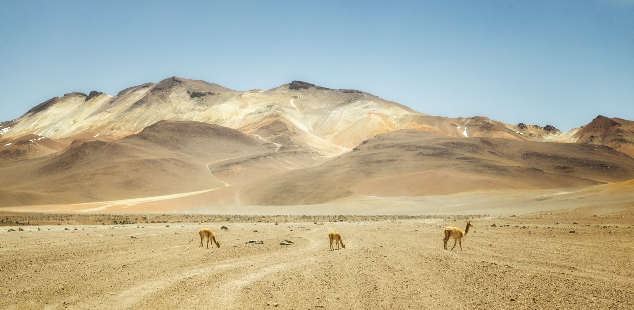 Deserto Uyuni 2.jpg