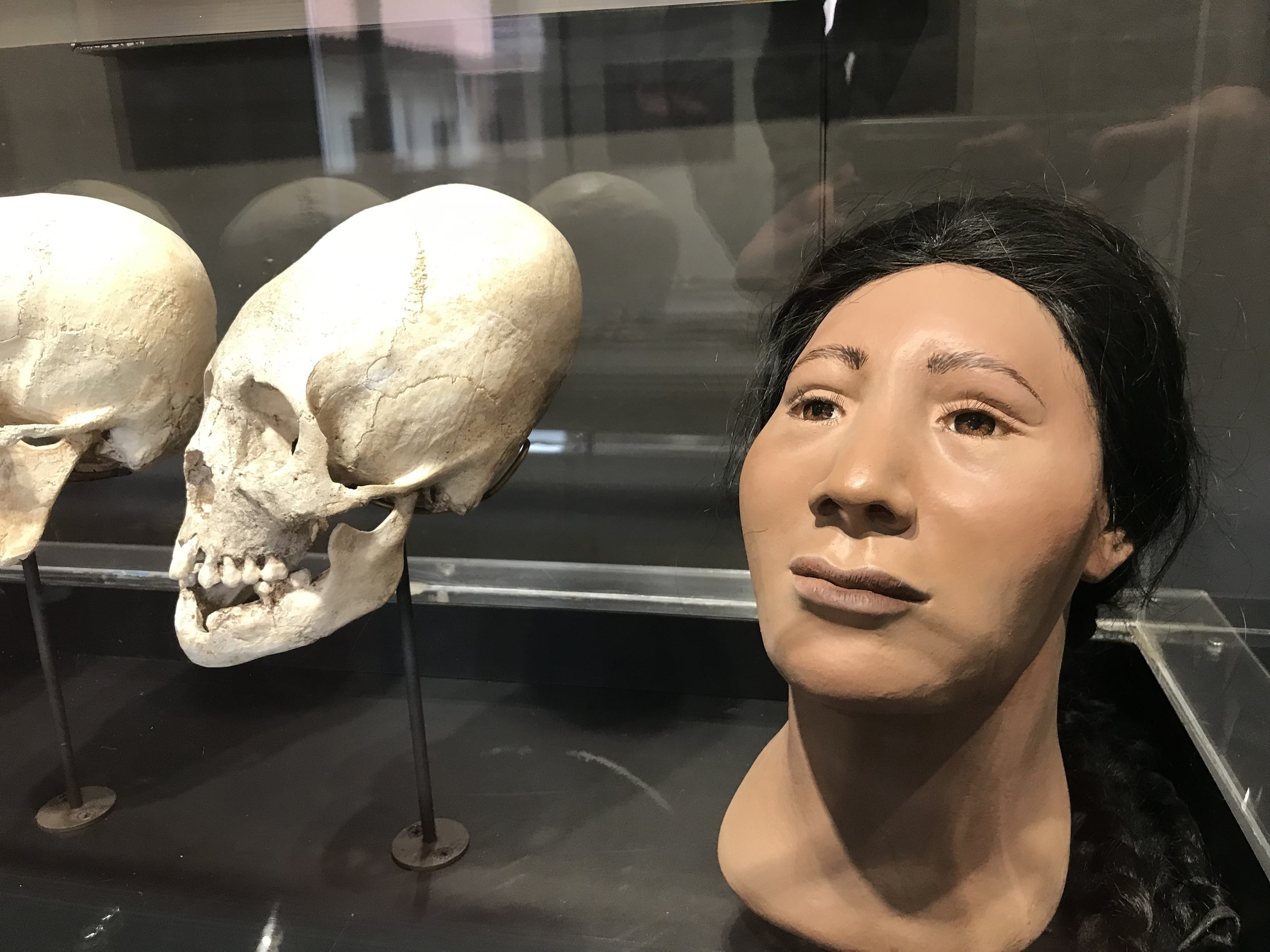 The Mystery of Peru's Elongated Skulls – Science vs Myth — Louis Wolf