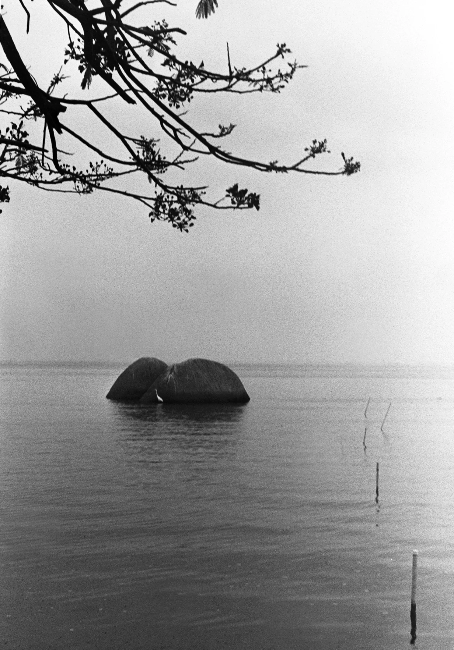  Society is permanently changing, social relations and processes never stop modifying themselves, and their constant mutability gives us the sensation that time is always escaping. Passengers project was shot at a small island called Paquetá, in Rio de Janeiro (Brazil), where our linear, traditional concept of time doesn't exist. 