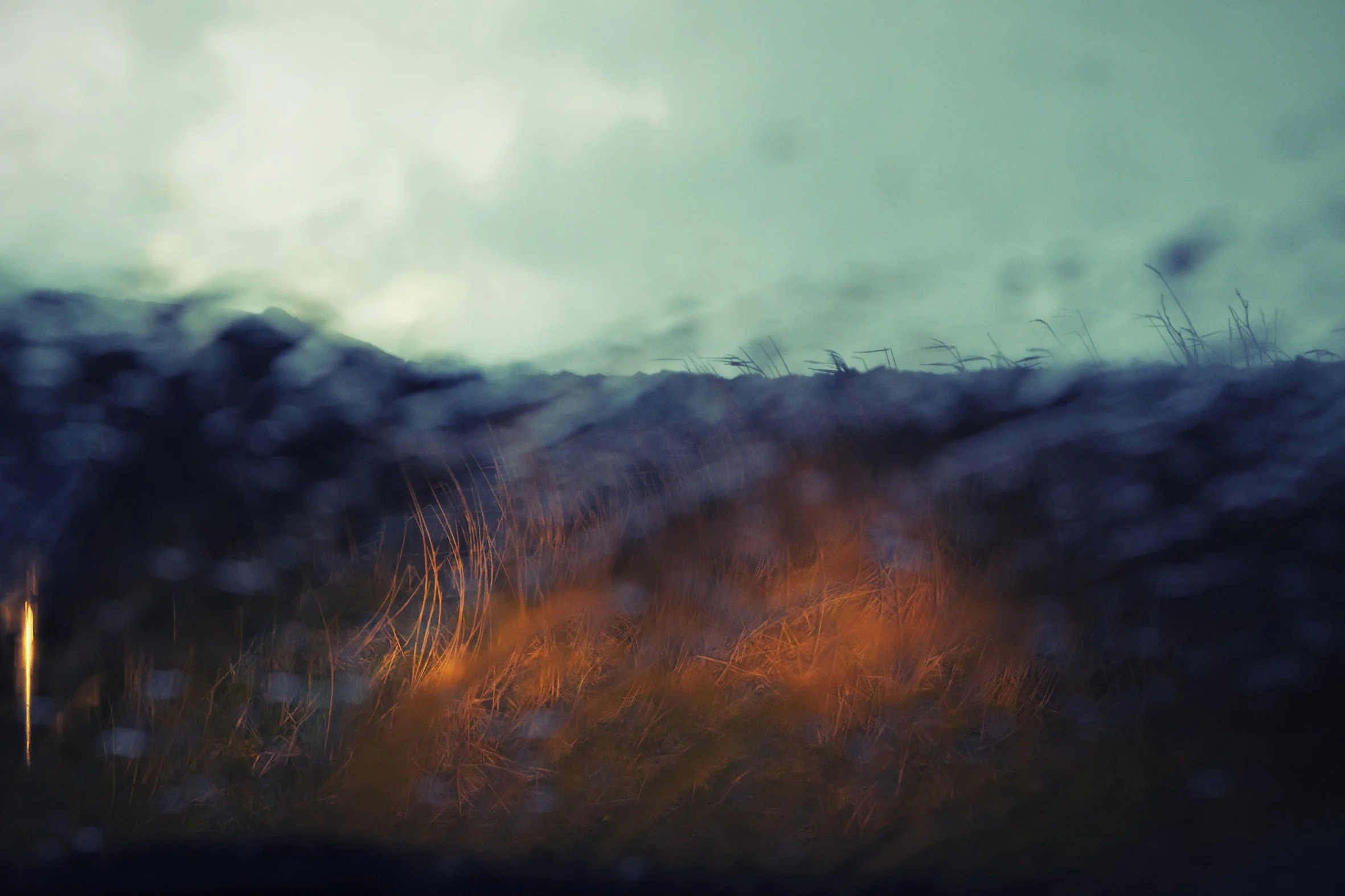 DSC_4365 - website.jpg