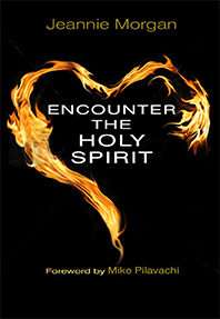 Encounter the Holy Spirit Book
