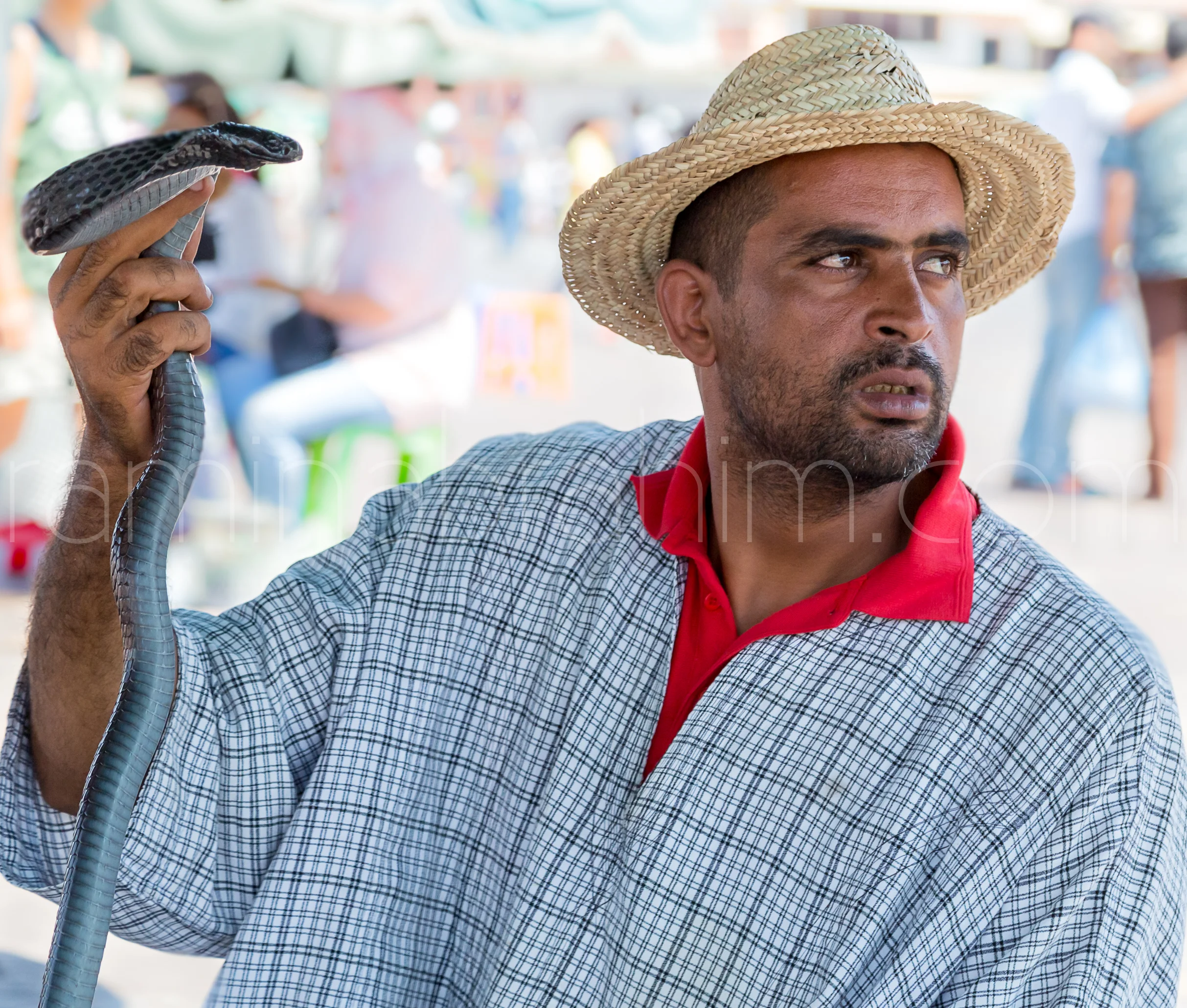 Morocco-5.jpg