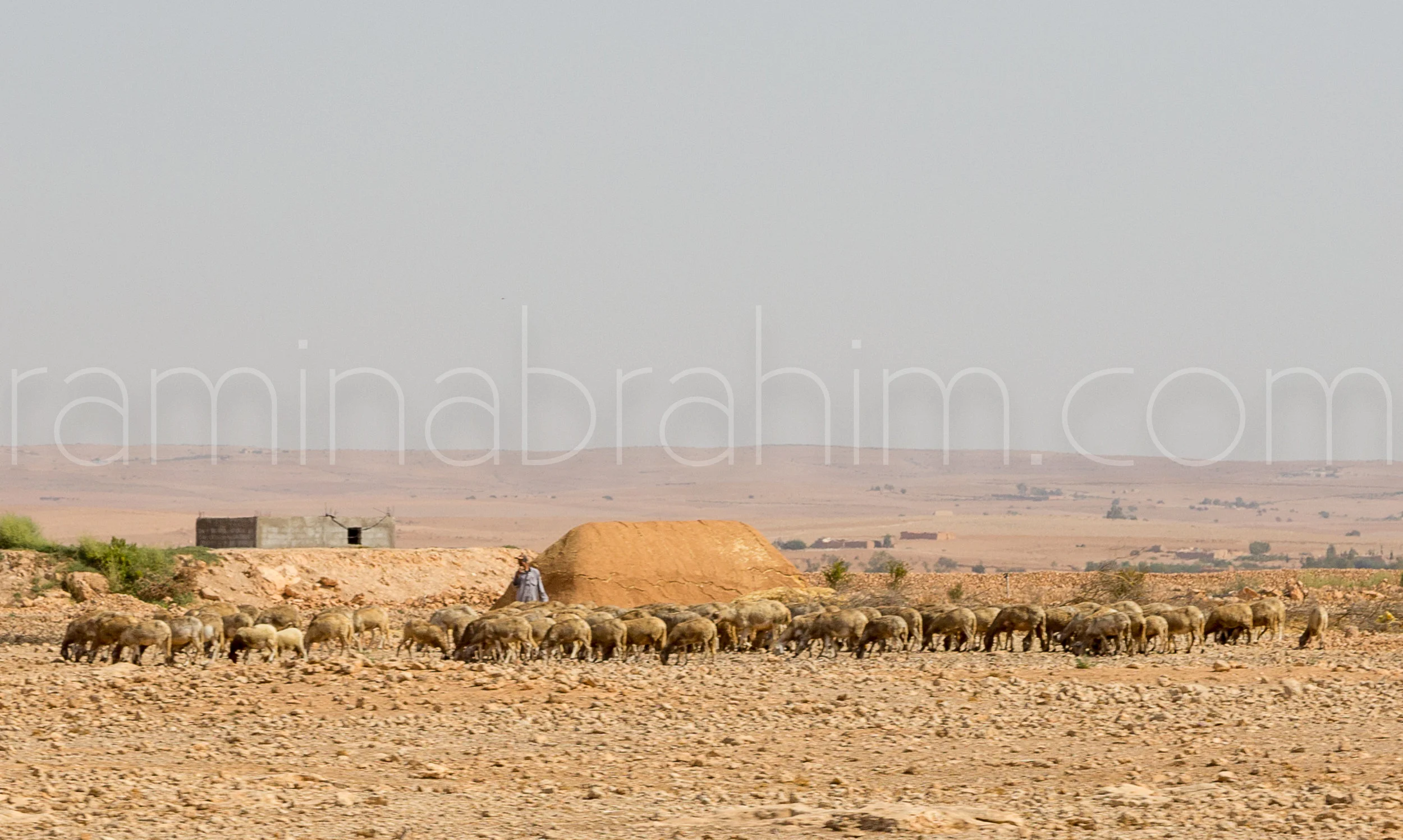 Morocco-32.jpg