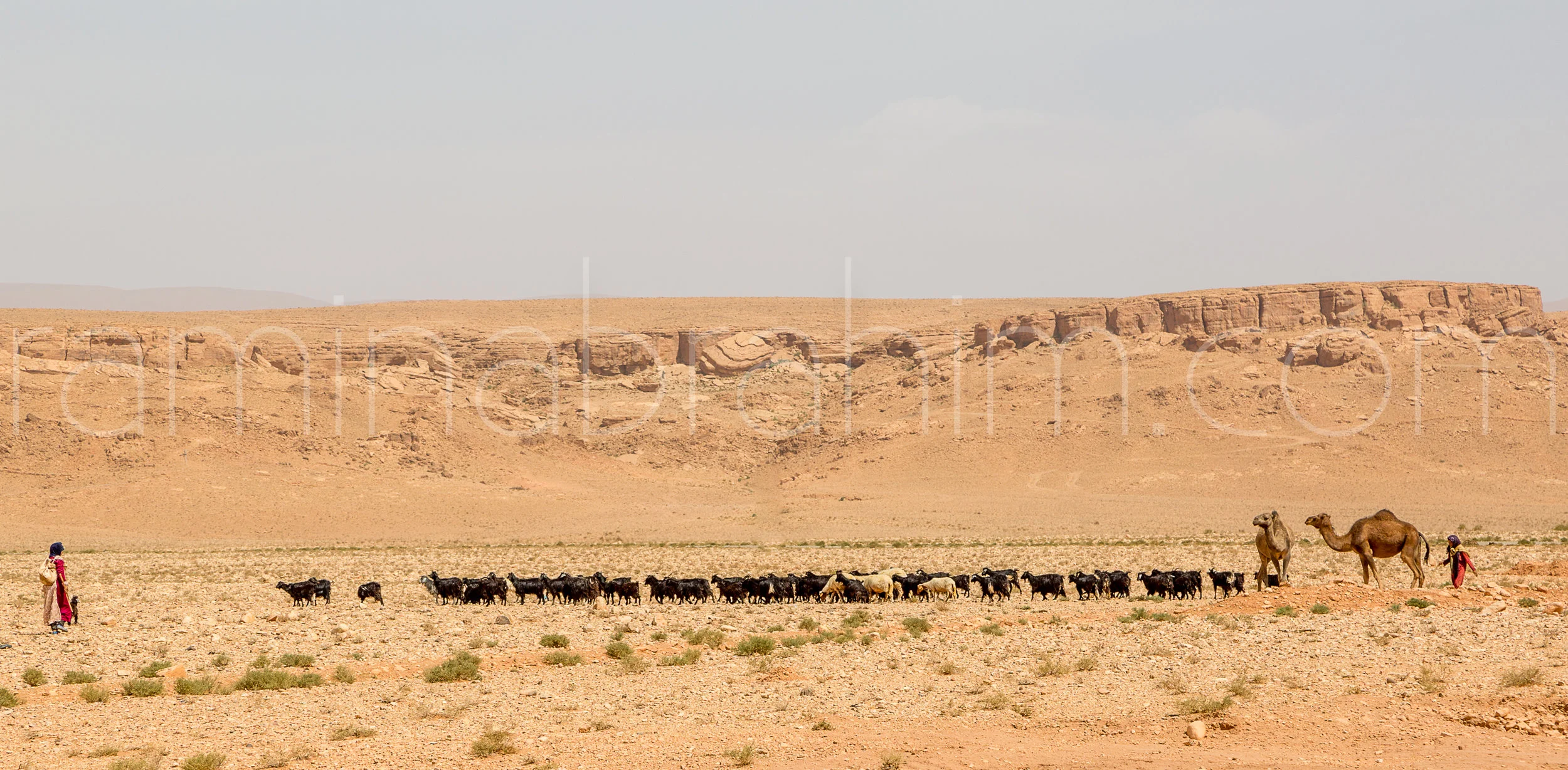 Morocco-106.jpg