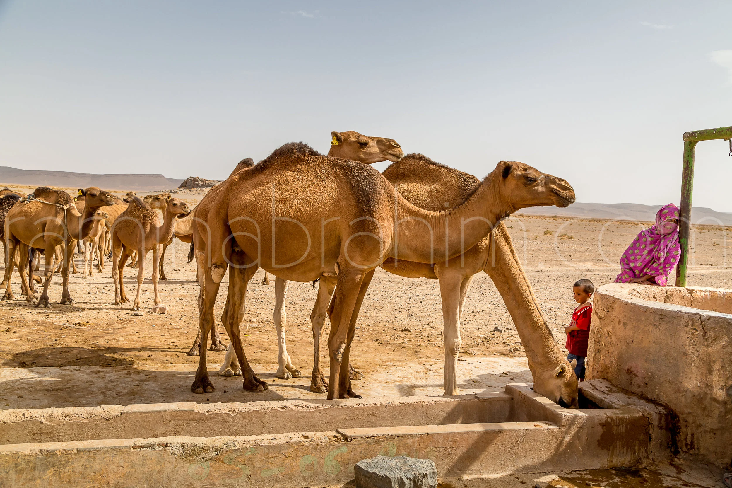 Morocco-127.jpg