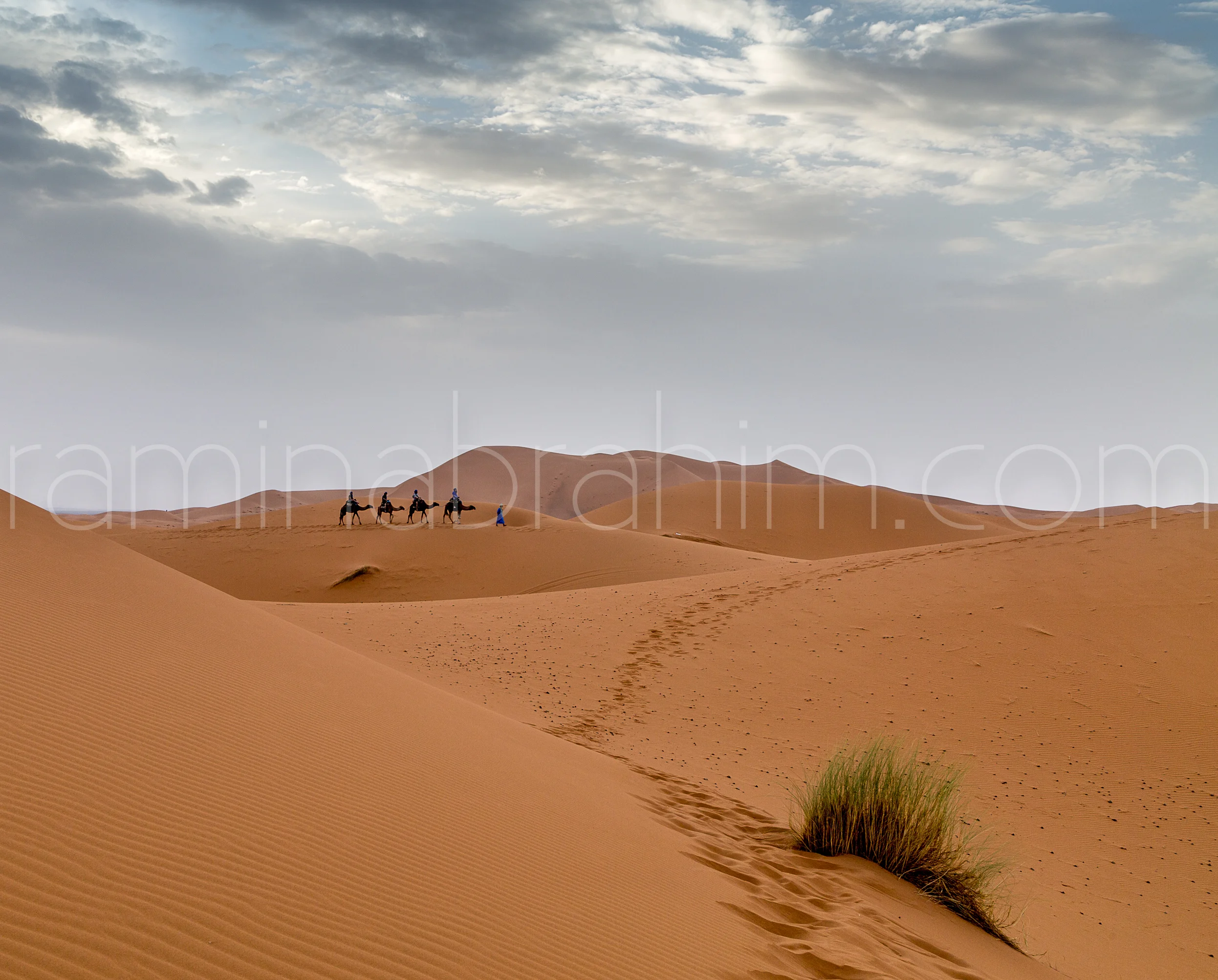 Morocco-145.jpg