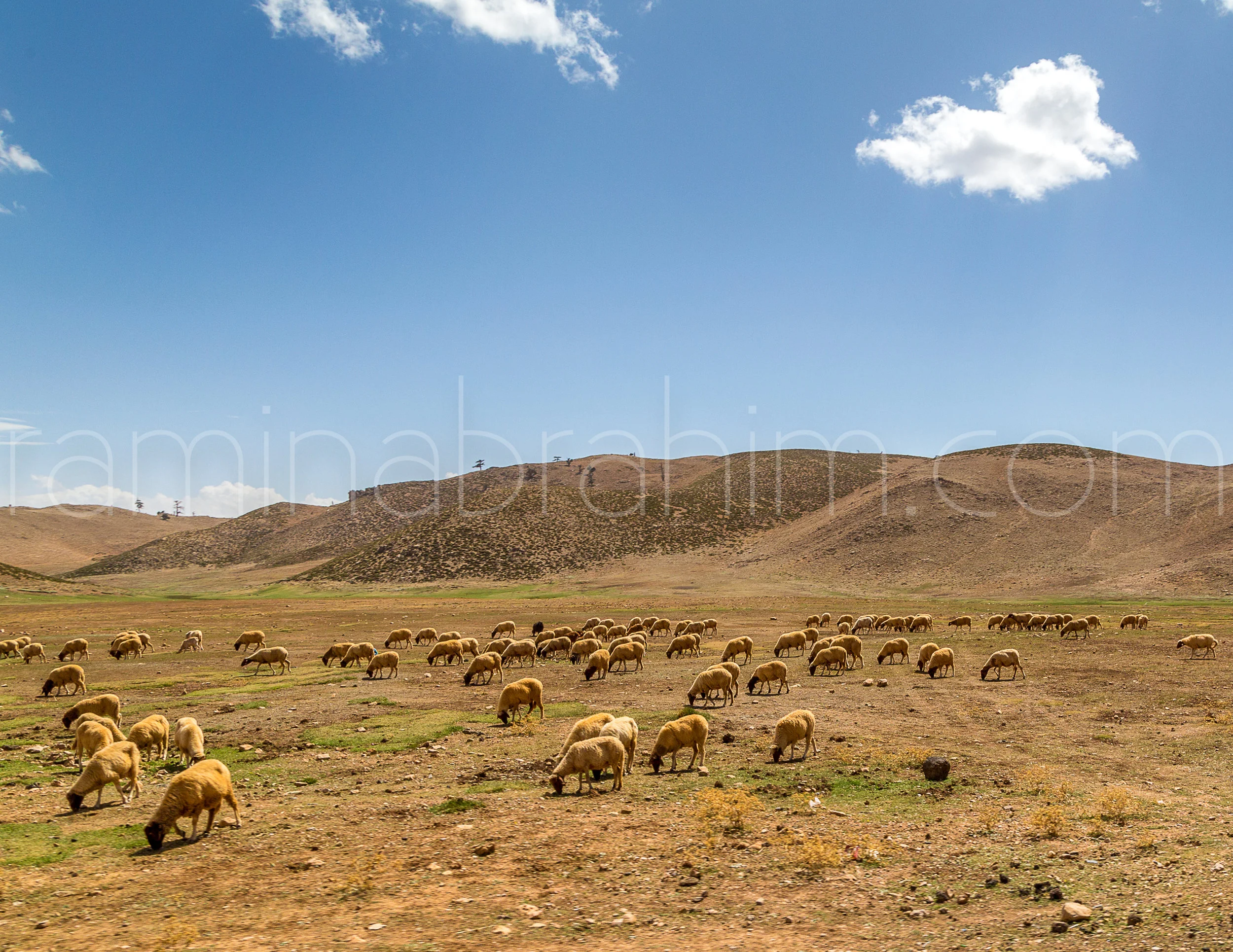Morocco-155.jpg