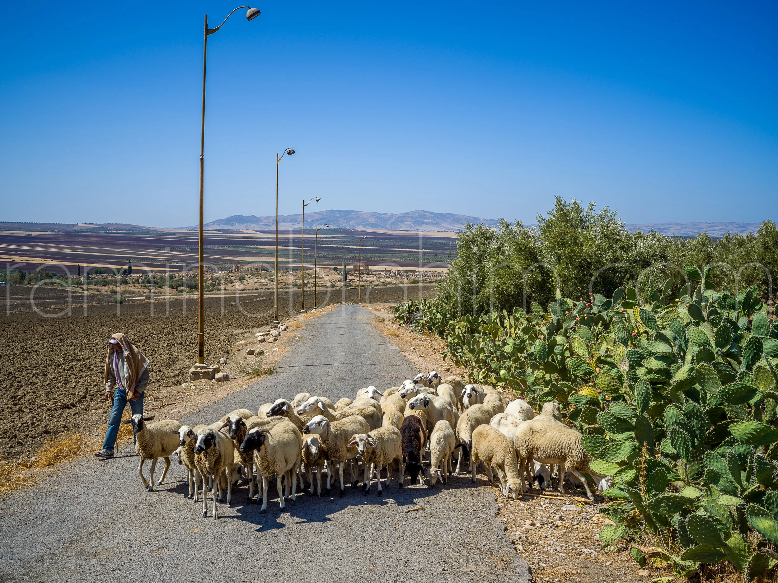 Morocco-212.jpg