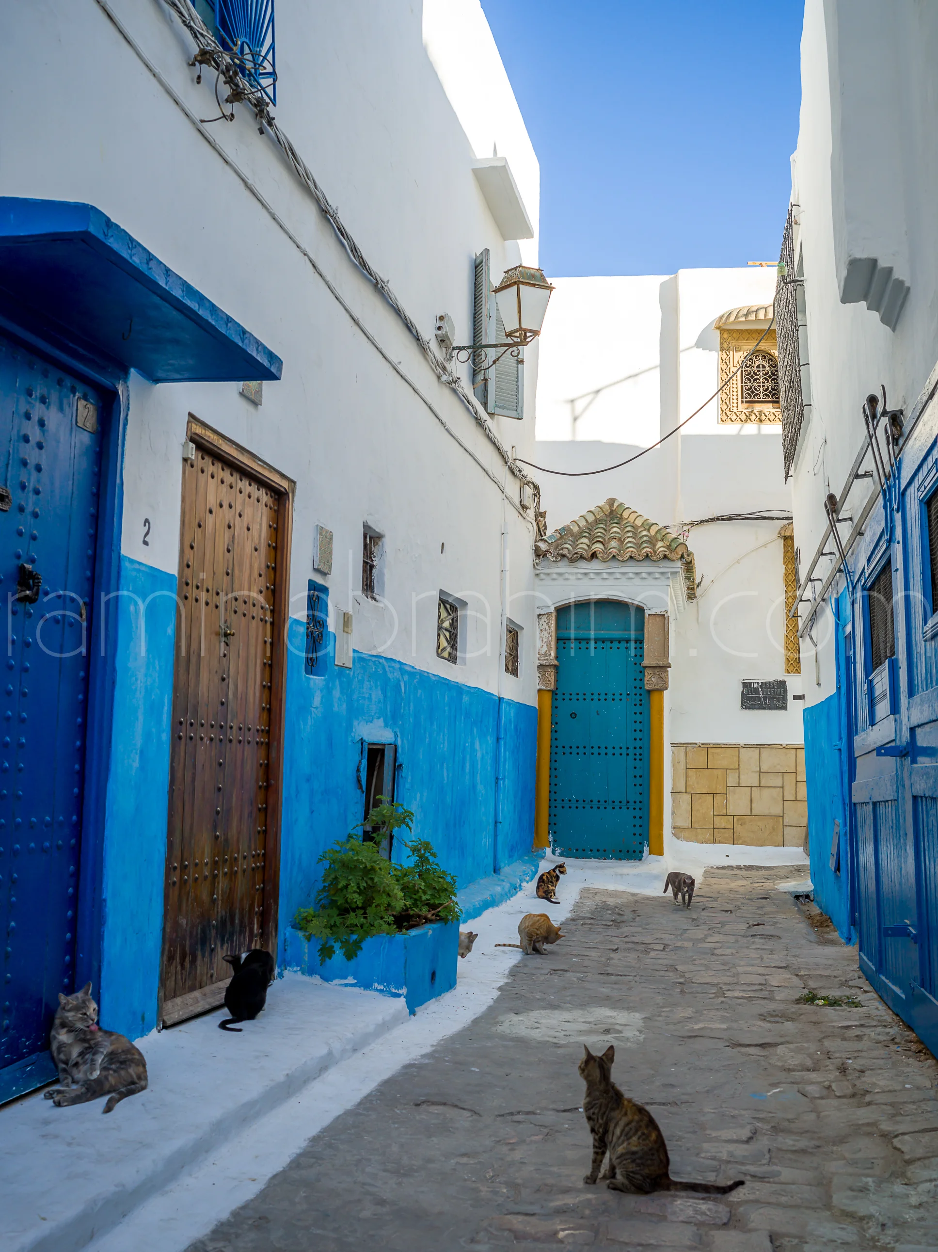 Morocco-219.jpg