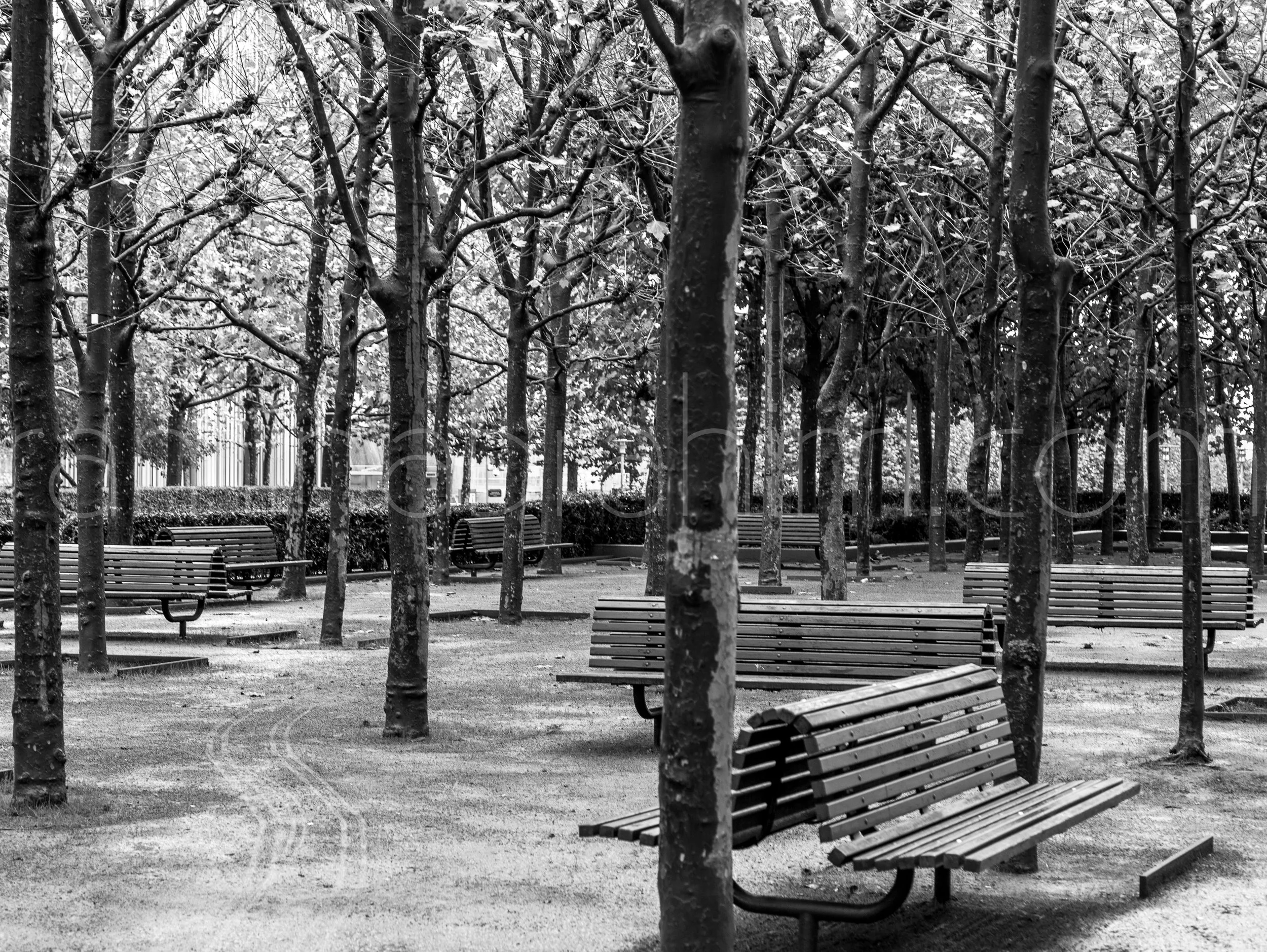 Paris-24.jpg