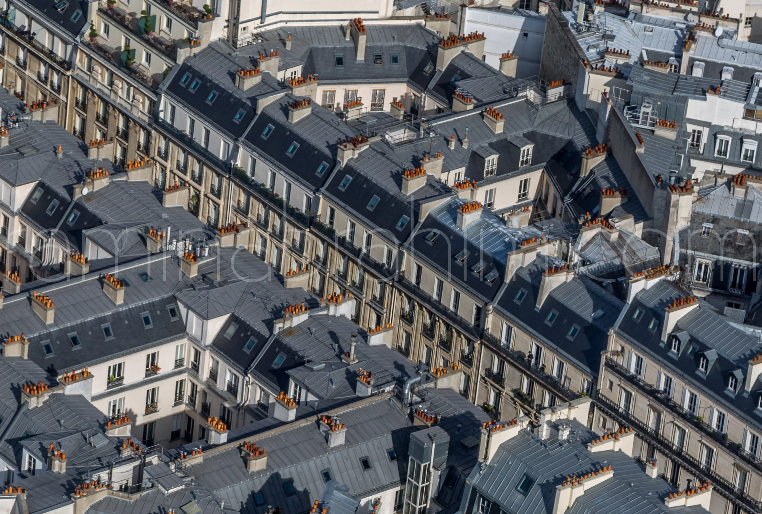 Paris-42.jpg