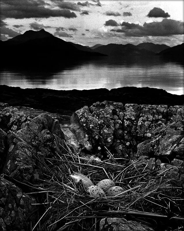 13-Gull_s_Nest__Isle_of_Skye_1947.jpg
