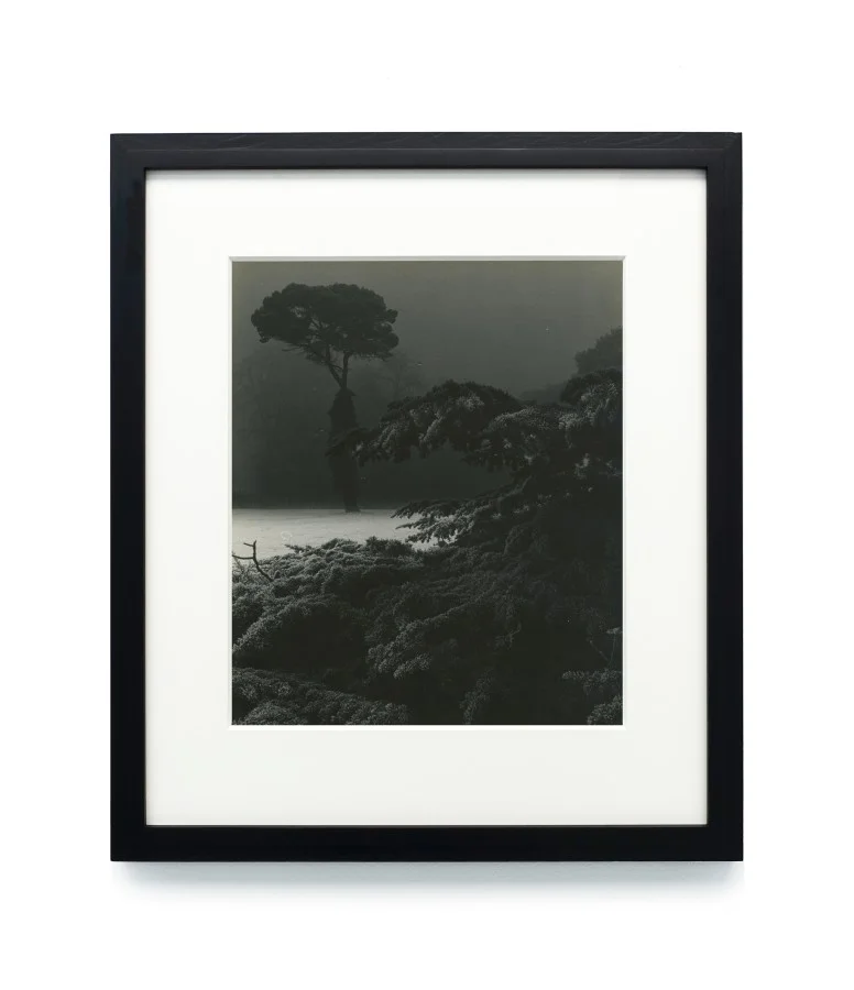 frame-brandt6- (1).jpg