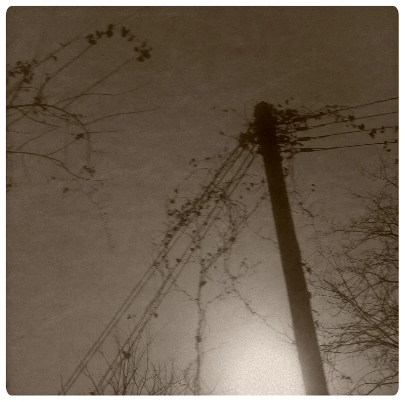 Power Vines