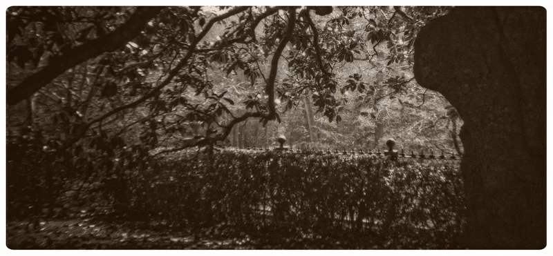 Rose Hill Plantation