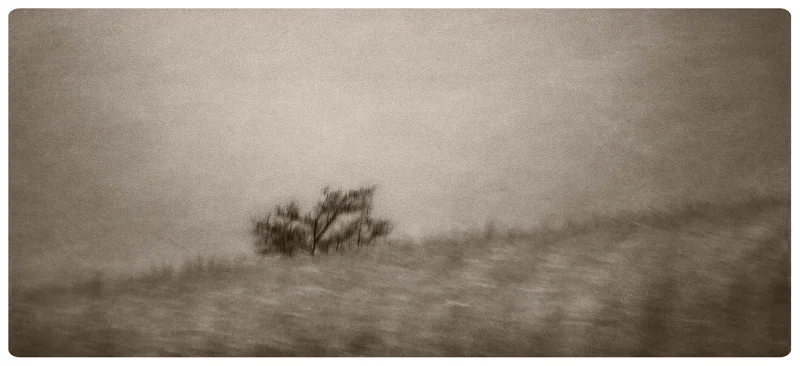 Tree Over The Hill