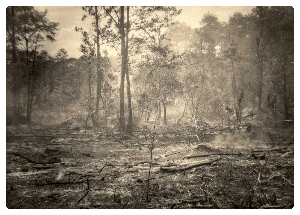 BurningOfftheLand.jpg