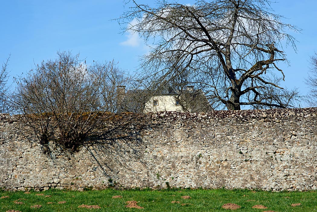 al_DSC8957.jpg