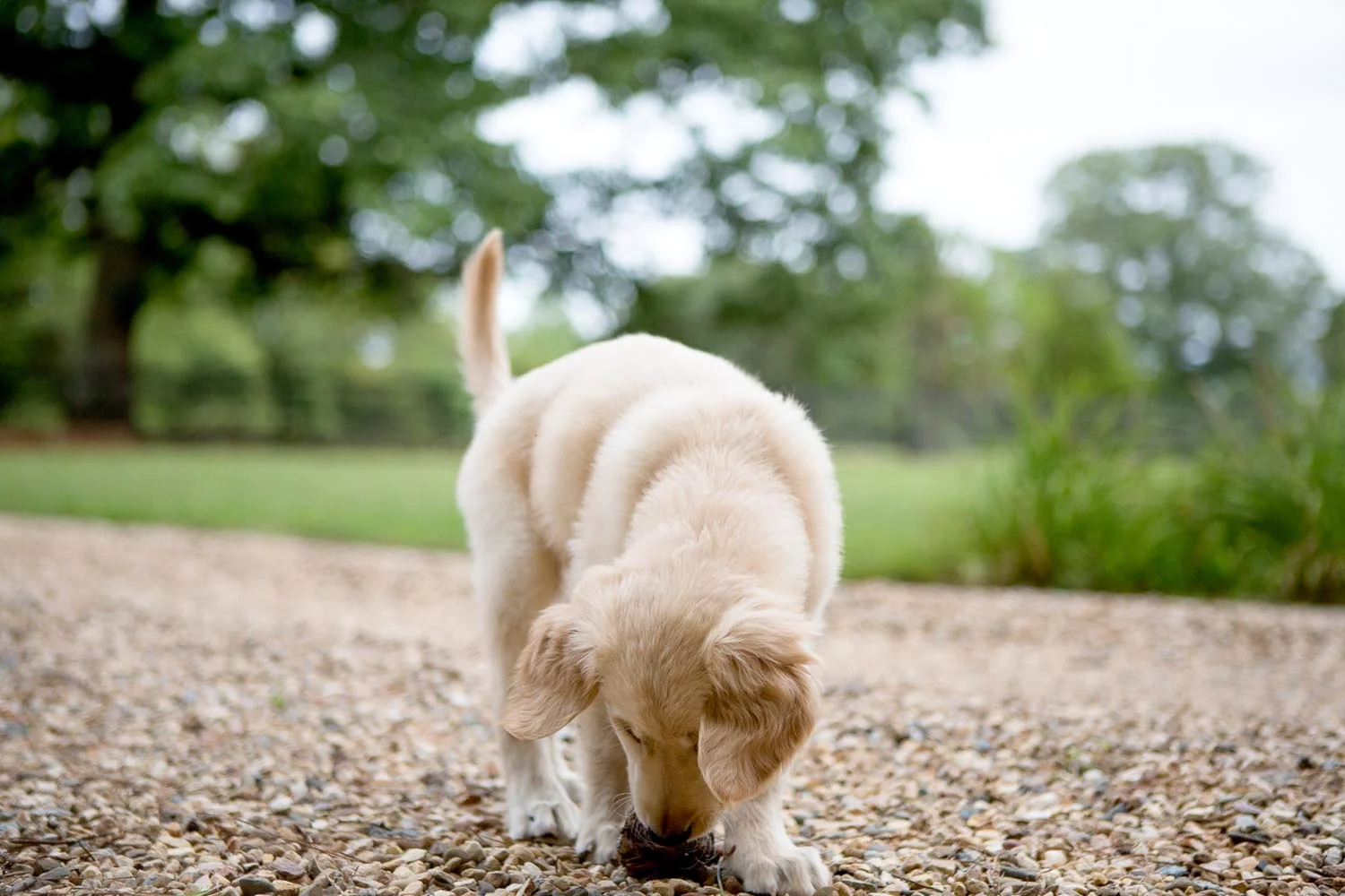 doc_July2014_0336A.jpg