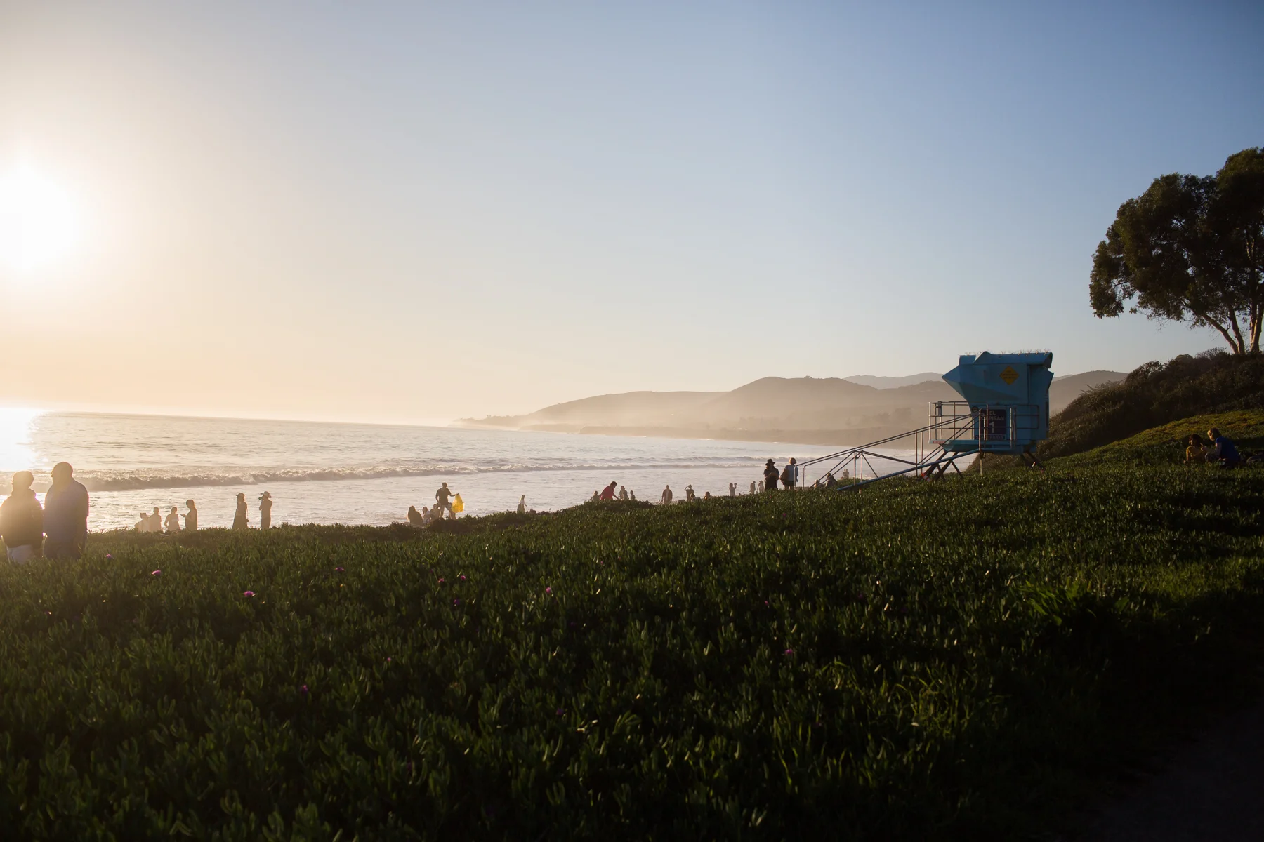 0122_California_Feb2016.jpg