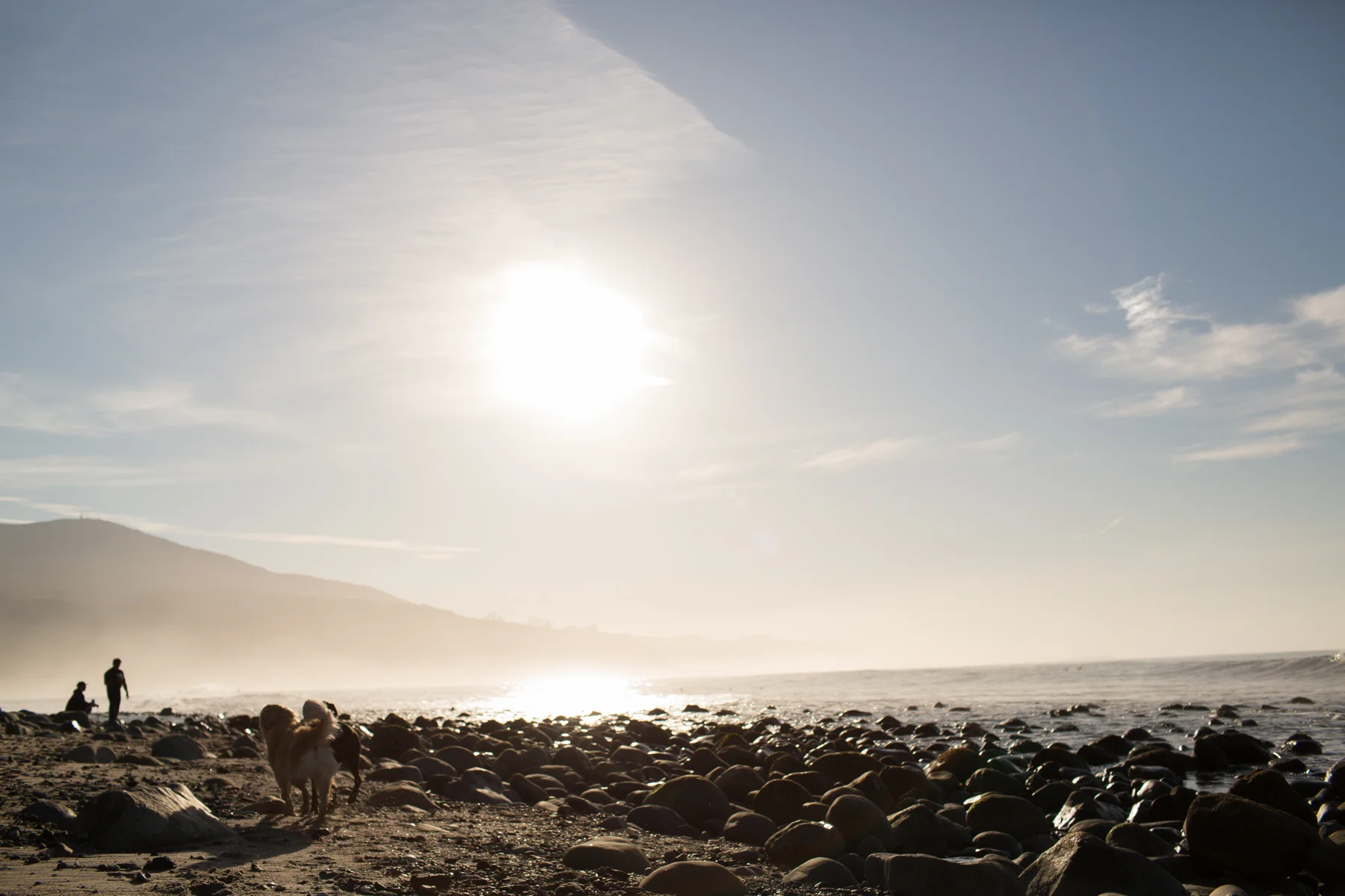 0161_California_Feb2016.jpg