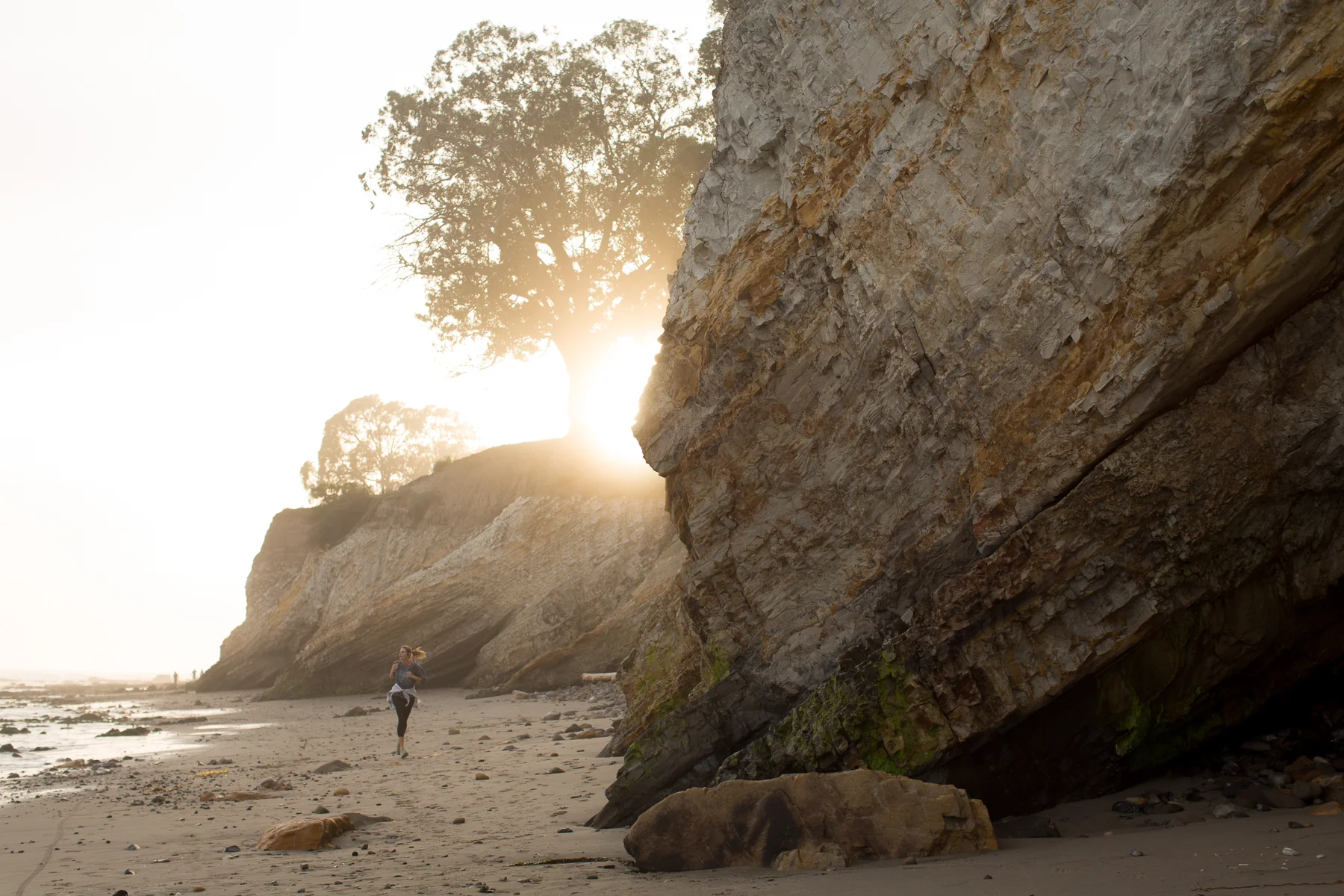 0157_California_Feb2016.jpg