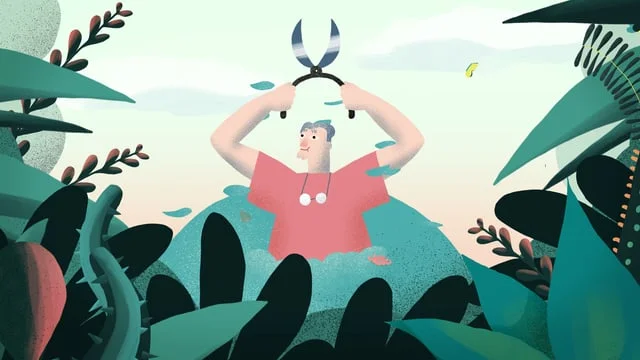 Airbnb : North Carolina