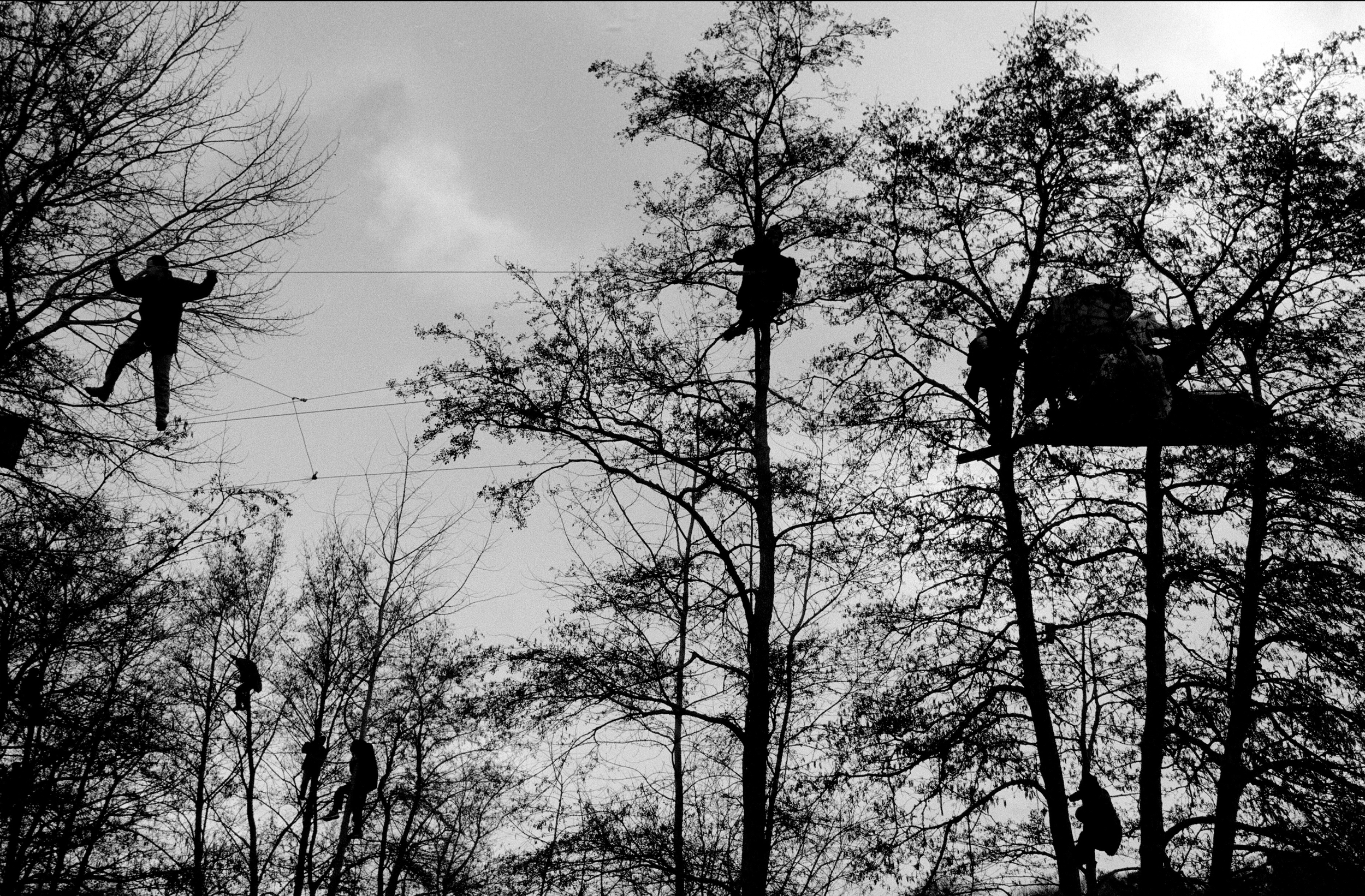 protestors occupy trees to disrupt the development of the Newbury Bypass