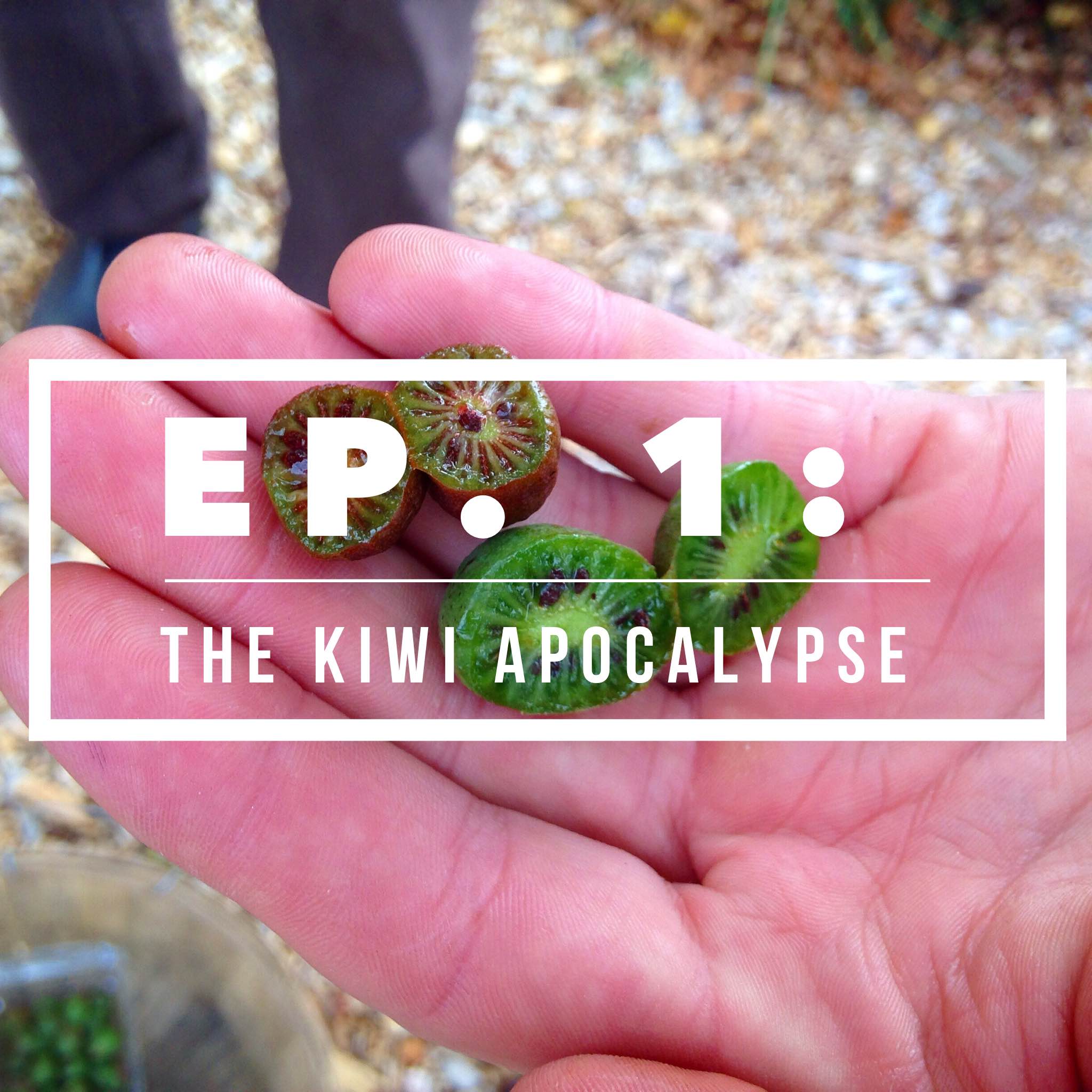 The Kiwi Apocalypse