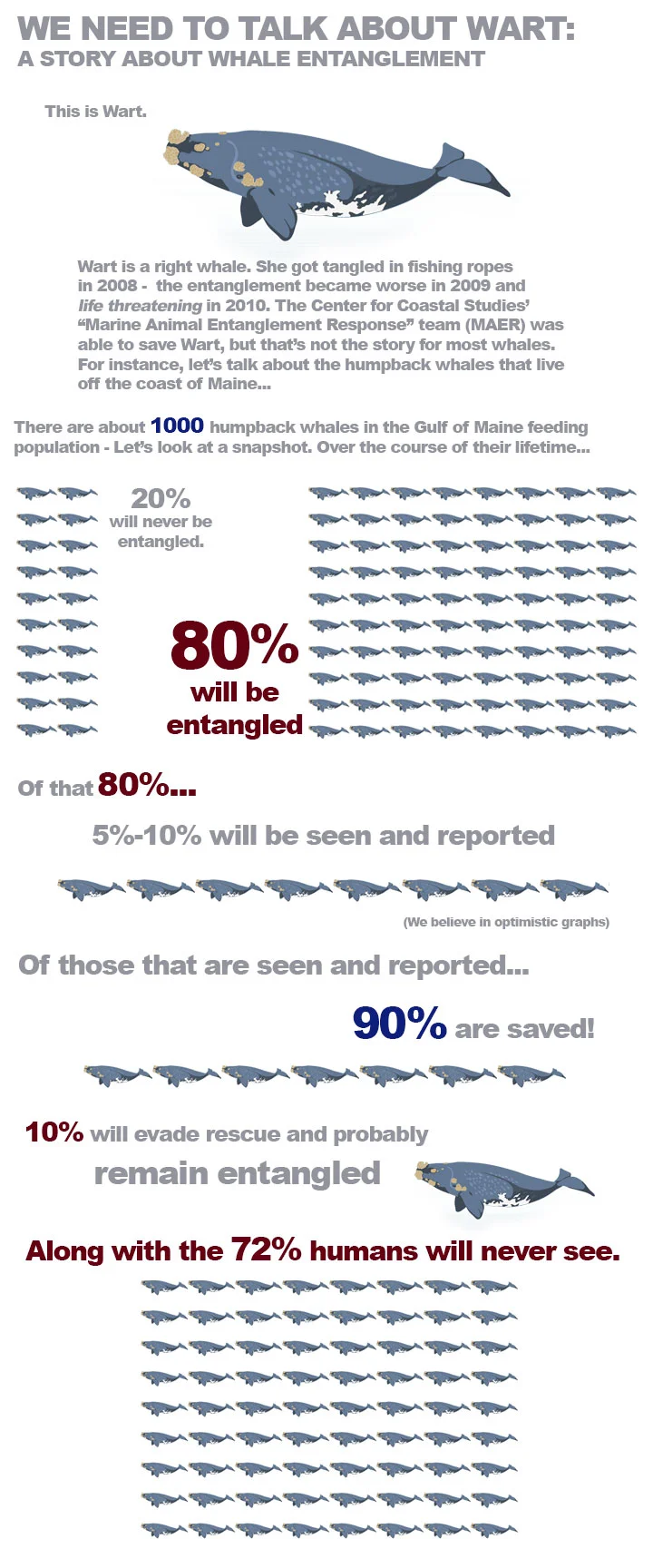 Whale-poster-web.jpg