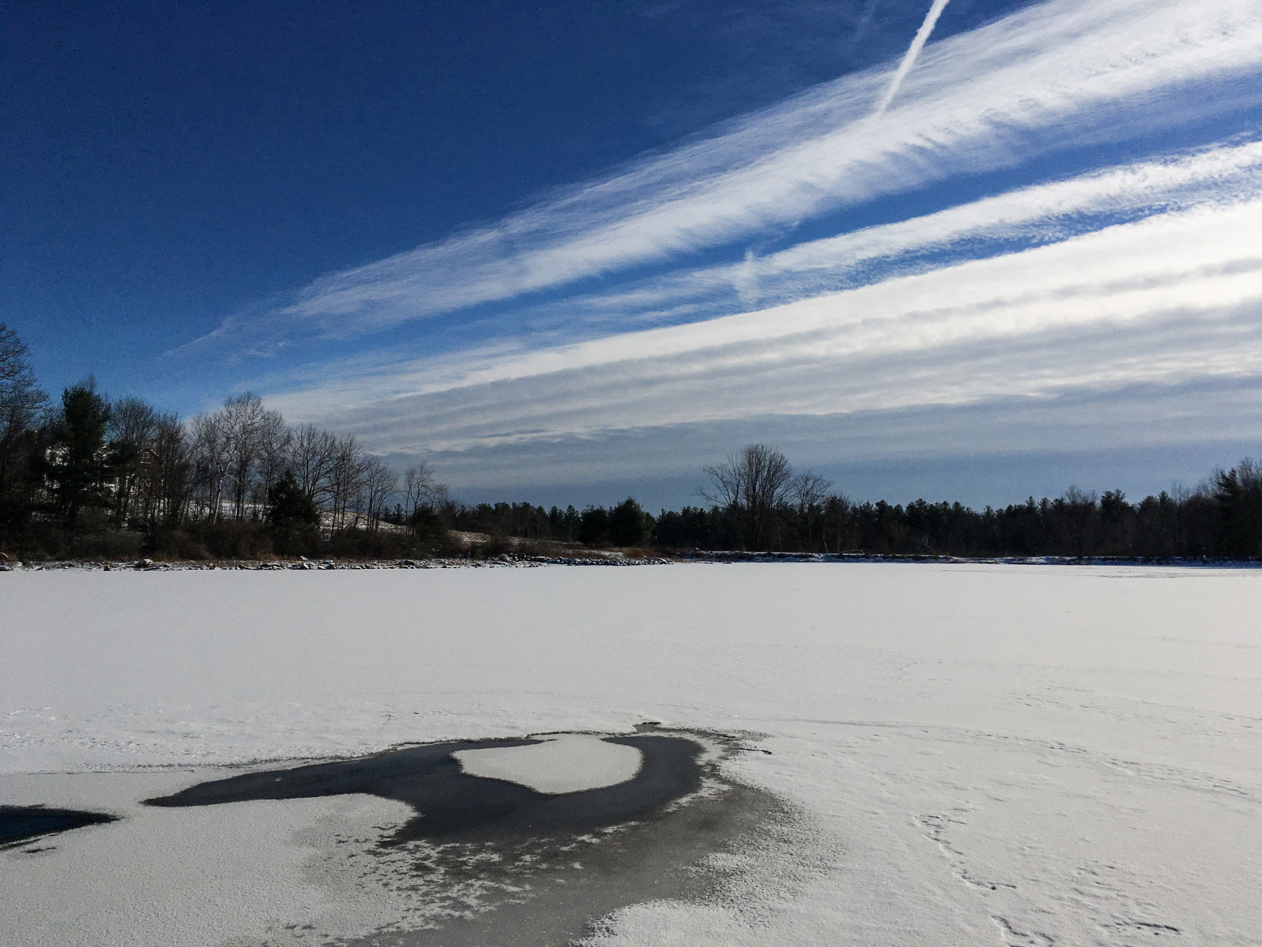 A view of the private pond Jeff Traynor traps beavers on.