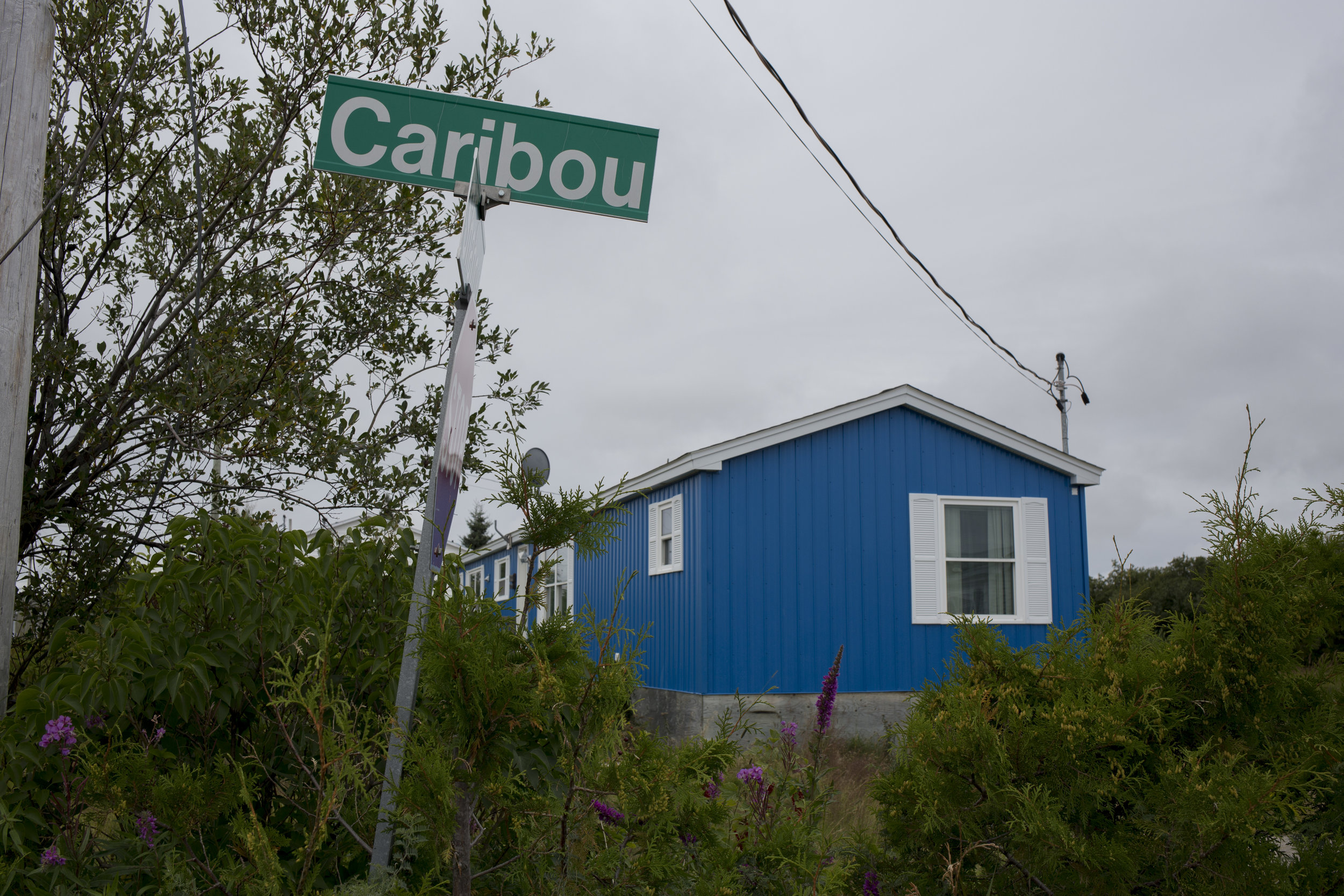  A road in Eastmain 