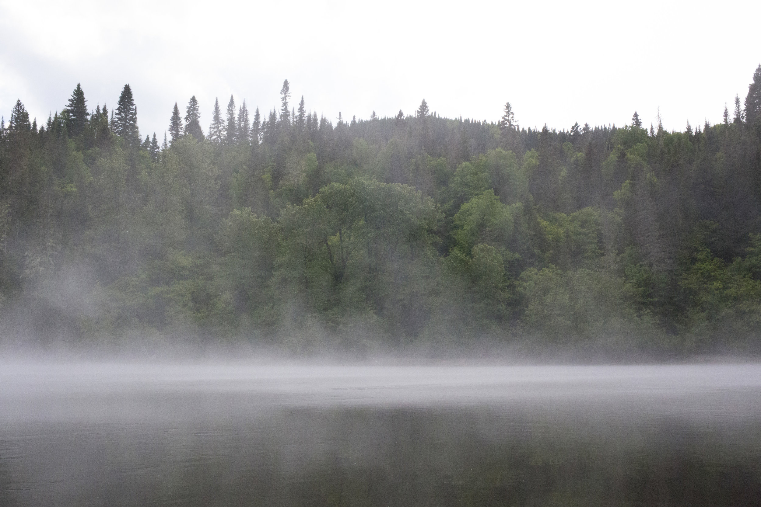  Fog on the river 