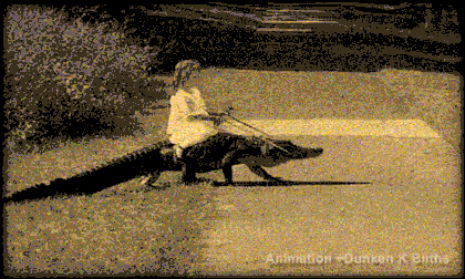 GirlOnAlligator.gif
