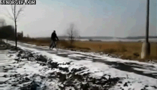 giphy (2).gif