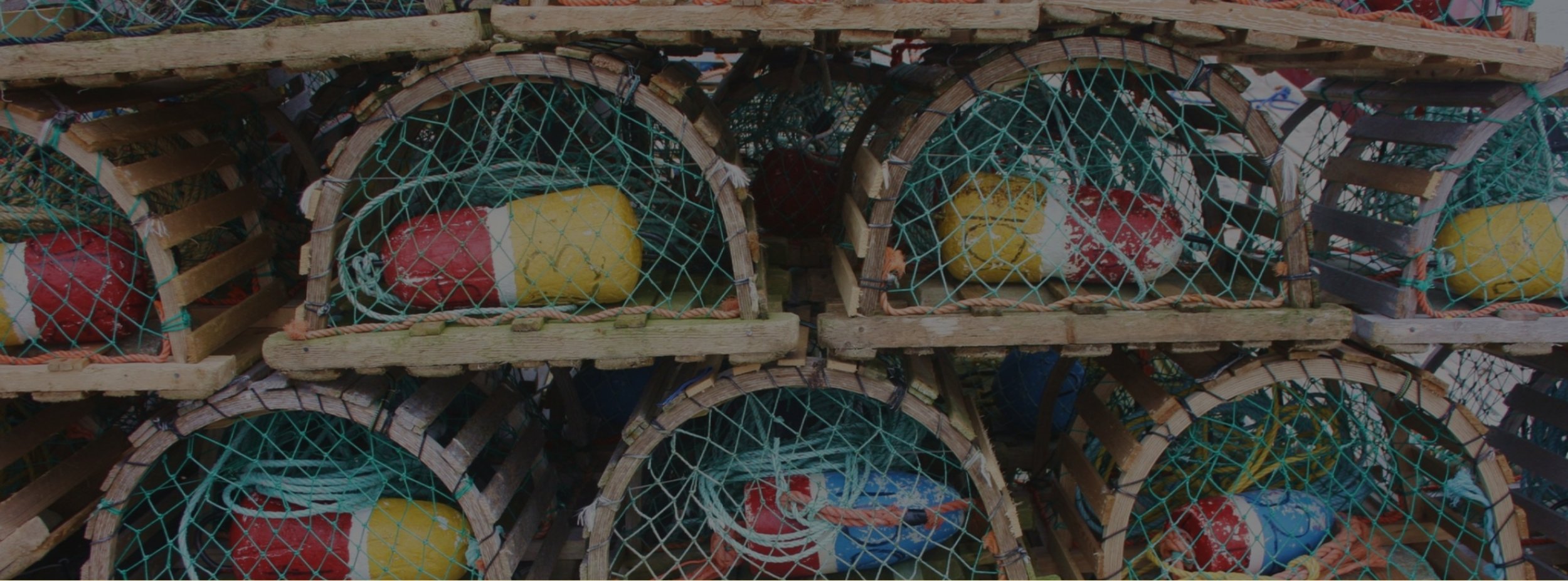 LobsterTrapBanner.jpg