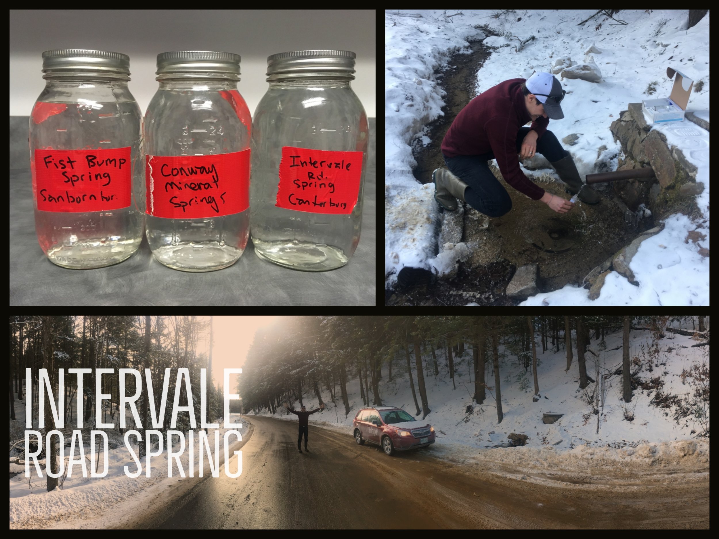 intervale road spring.jpg